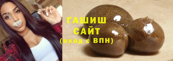 гашик Алексин