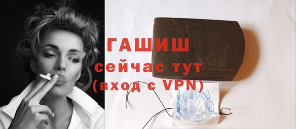 гашик Алексин