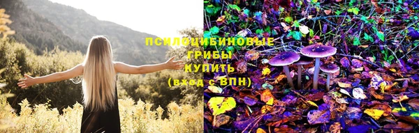 гидра Алзамай