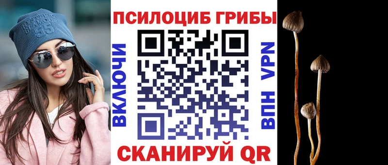 Псилоцибиновые грибы MAGIC MUSHROOMS  Кирс 